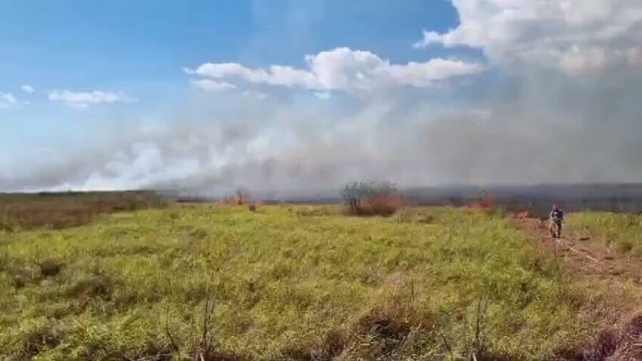 Imagem incendios pantanal 2